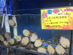 -蚝专家(北滘店)