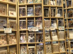 -猫的天空之城概念书店(束河店)