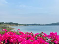 -露天矿生态公园