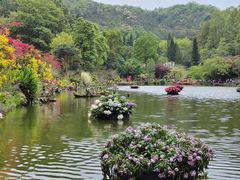 -深圳仙湖植物园