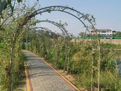 -金孔雀温泉旅游度假村