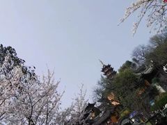 -鸡鸣寺