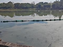 -湘湖大院(越王路店)