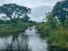 -济州森林小火车生态公园