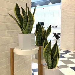 -宝贝天空儿童摄影(花溪店)