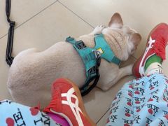 -美迦爱-牙专科·兔科·骨科诊疗中心(北苑店)