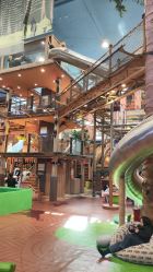 -卡通尼·Safari非洲探索乐园·生日会(金桥国际商业广场店)