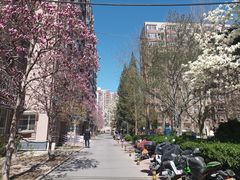 -招商银行(北京三里屯支行)