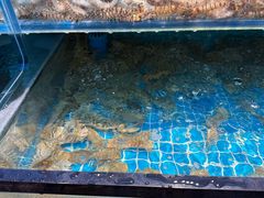 -王潮活海鲜自助·蒸汽海鲜