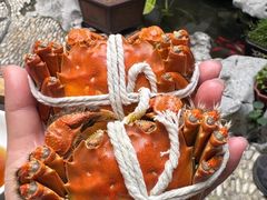 -蟹村草堂·苏式园林人文农家·大闸蟹