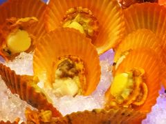 -瑞德姆美人鱼海底演艺主题餐厅(亚龙湾店)