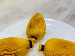 -香港百合居(LCM置汇旭辉广场店)