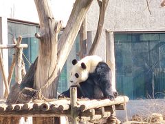 -沈阳森林动物园