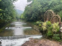 -广州白江湖森林公园