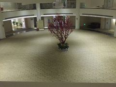 -金茂园大酒店