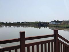 -杭州湾海上花田景区