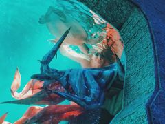 -瑞德姆美人鱼海底演艺主题餐厅(亚龙湾店)
