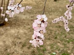 -天津梅江会展中心