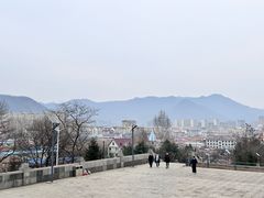 -黄椅山火山森林公园