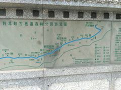 -羚羊峡古栈道森林公园
