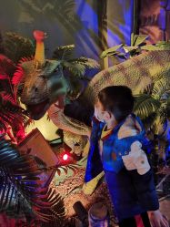 -恐龙探索乐园(磁器口店)