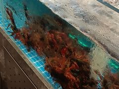 -鼎原力量东北吊炉烧烤(幸福街店)