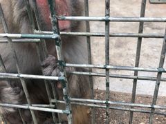 -南京金牛湖风景区