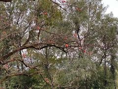 -烟水渔庄餐厅(西溪湿地店)