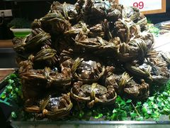 -超级物种(省府店)