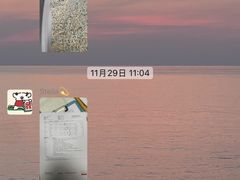-柏萃动物医院·骨科·牙科