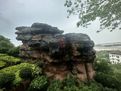 -广州莲花山旅游区