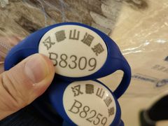 -汉拿山温泉度假酒店