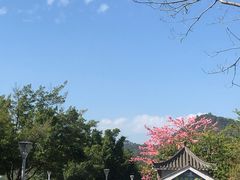 -艾米稻香小镇