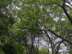 -幕燕滨江·燕子矶公园