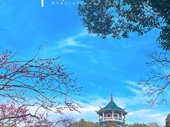 -无锡梅园公园