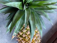 -天强农家菜馆
