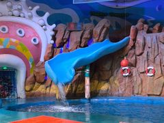 -烟台海昌鲸鲨海洋公园
