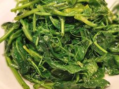清炒豆尖-峨嵋酒家总店(车公庄店)