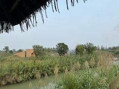 -泗洪洪泽湖湿地景区