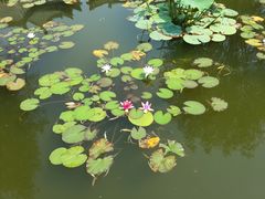 -文瀛公园