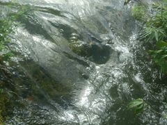 -贵阳市花溪国家城市湿地公园