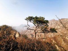 -大连天门山国家森林公园