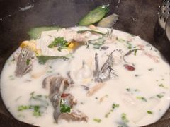 鲜潭蒸汽石锅江团鱼-鲜潭蒸汽石锅鱼(五道口购物中心店)