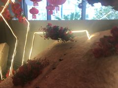 -上海外滩英迪格酒店