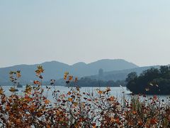 -楼外楼(西湖景区孤山路店)