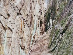 -镇江市南山风景名胜区竹林景区