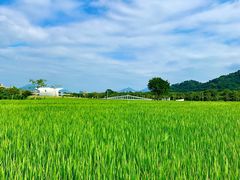 -艾米稻香小镇