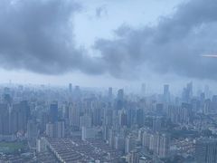 -上海龙之梦万丽酒店