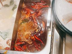 美蛙鸳鸯锅-重庆高老九火锅(文峰广场店)