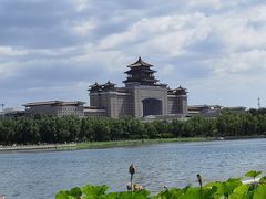 -莲花池公园